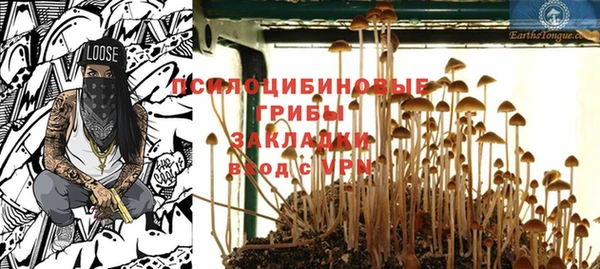 ешки Горно-Алтайск