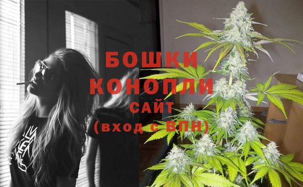 прущий лед Горняк