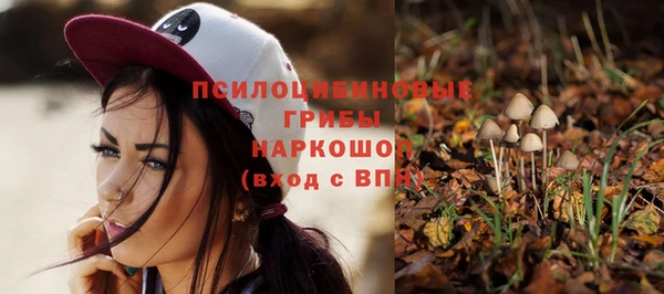 ешки Горно-Алтайск