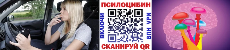 Псилоцибиновые грибы мухоморы купить сайты сайты даркнета телеграм Дедовск